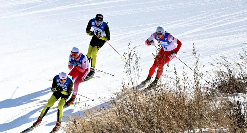 北京冬奧會有哪些項(xiàng)目？在哪些場館進(jìn)行？