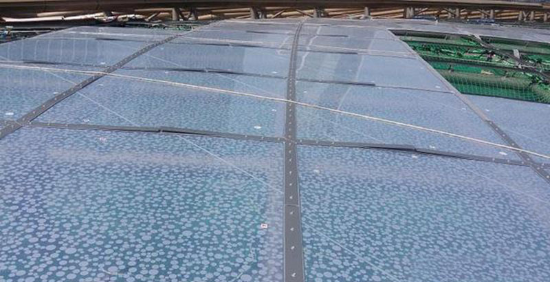 ETFE膜結構有哪些種類？ETFE膜結構是如何分類的？