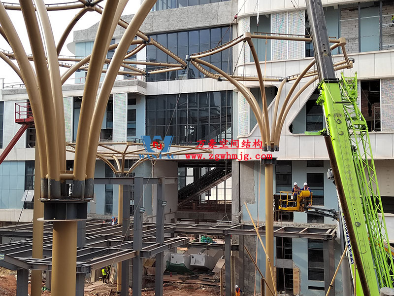 中國(guó)東盟特色商品匯聚中心膜鋼構(gòu)工程完工