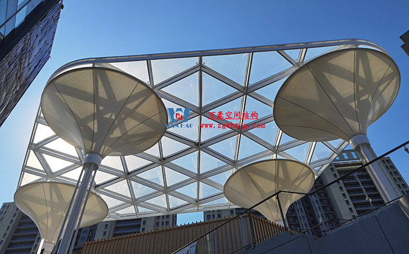 什么是ETFE氣泡膜？ETFE氣泡膜有什么優點？