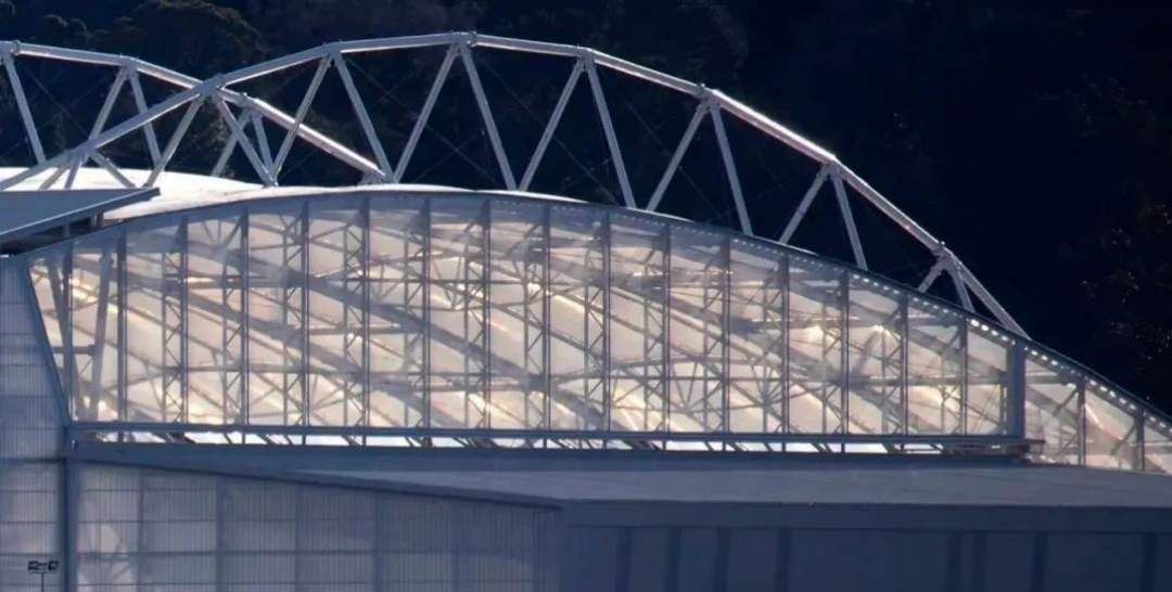 屋頂下生長著天然草皮的永久封閉式體育場 屋頂下生長著天然草皮的永久封閉式體育場